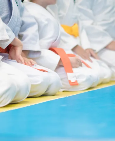 Entretien des tatamis de judo