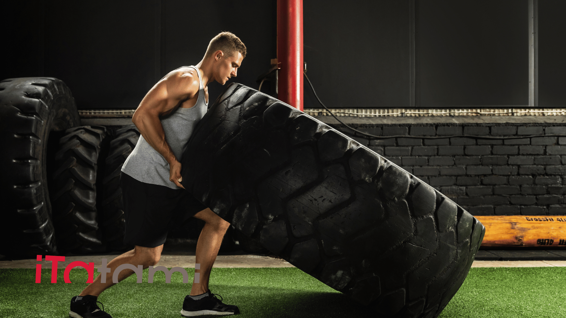 article and guide on tire training