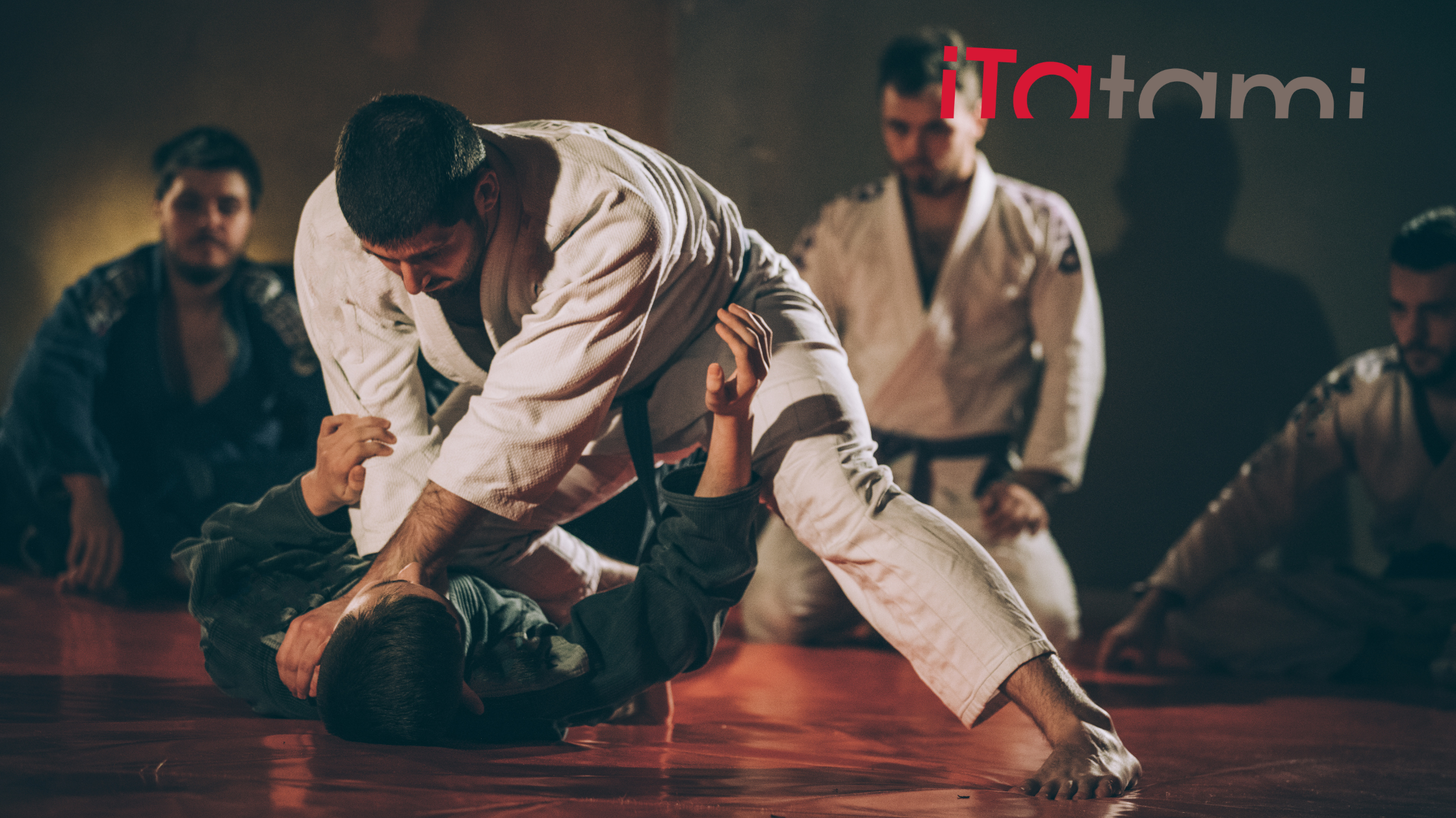 judo fighting strategies and techniques