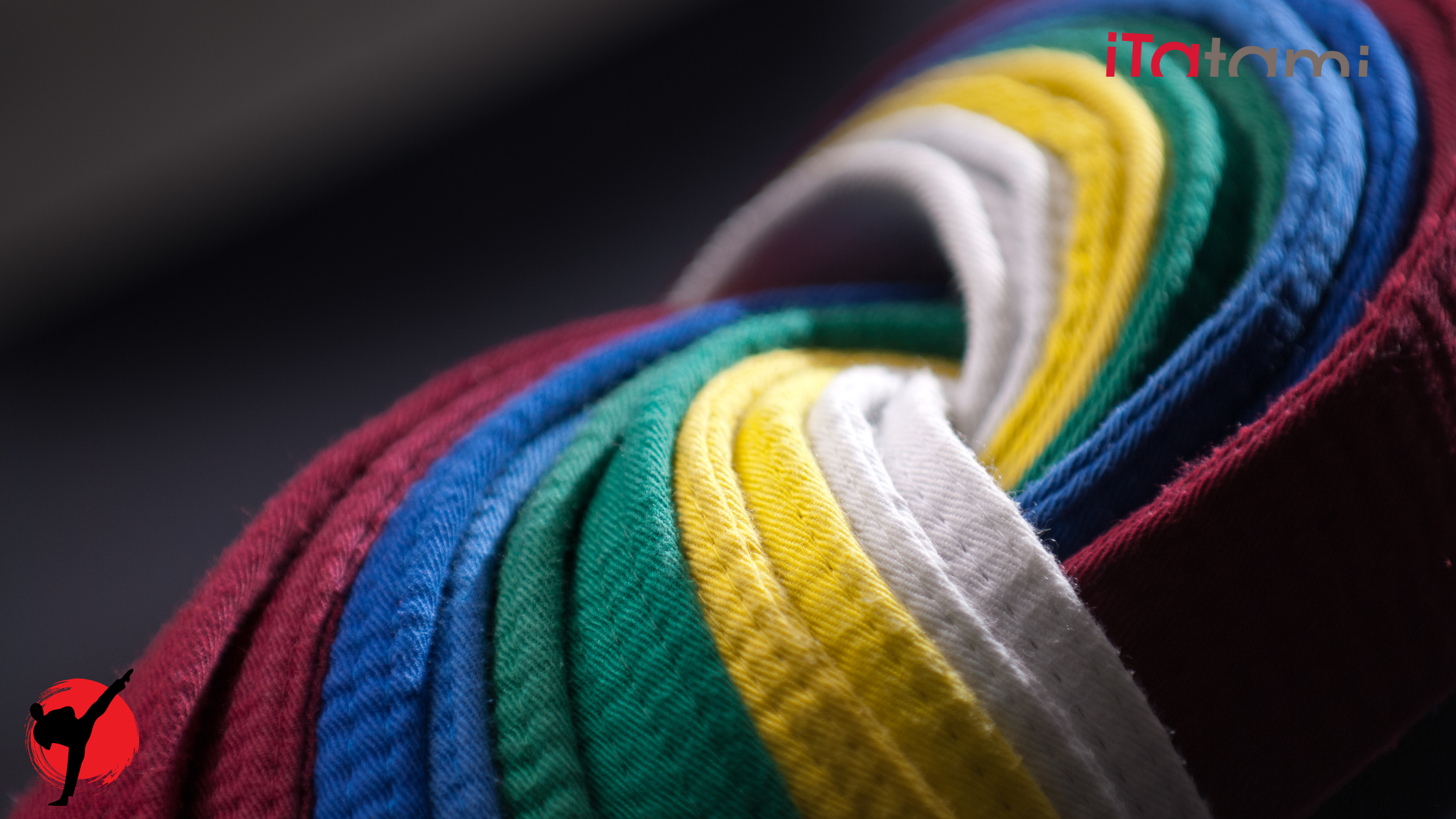 All judo belts