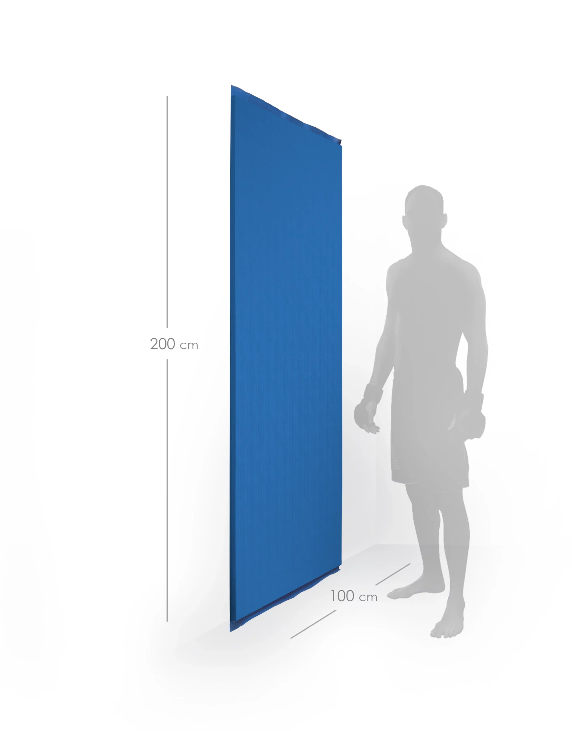 protection murale bleue 2 - paille de riz