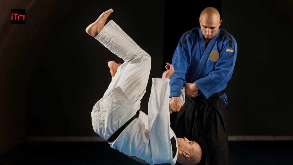 traditional tatami mats for aikido